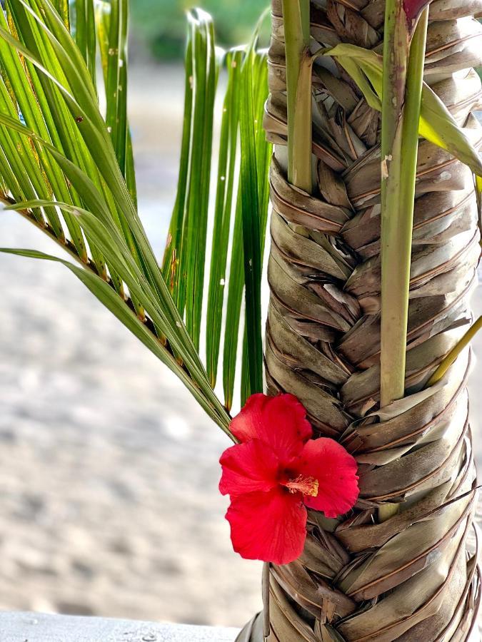 Coco Beach Resort Port Vila Exterior foto